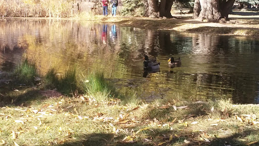 Private Golf Course «Kissing Camels Golf Course», reviews and photos, 4500 Kissing Camels Dr, Colorado Springs, CO 80904, USA