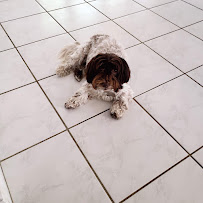 Amazon Pool Service & Repairs, Inc. - Photo 5 - Car repair in Coral Springs, FL, Fort Lauderdale