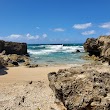 Mokulēʻia Rock Beach