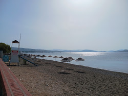Ortakent Müskebi Halk Plajı'in fotoğrafı kısmen otel alanı