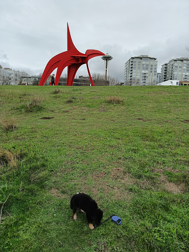 Park «Olympic Sculpture Park», reviews and photos, 2901 Western Ave, Seattle, WA 98121, USA
