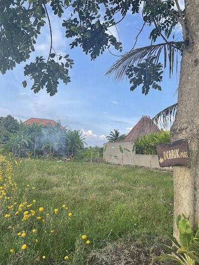 Villa Rice Field Sayan