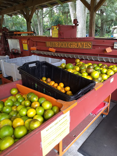 Farm «Butrico Groves Orange Grove», reviews and photos, 6065 Magnolia St, Mims, FL 32754, USA