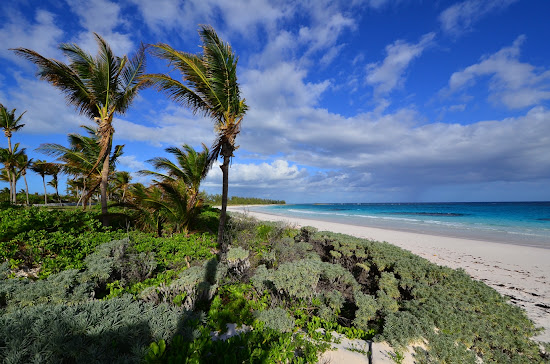 Winding Bay beach