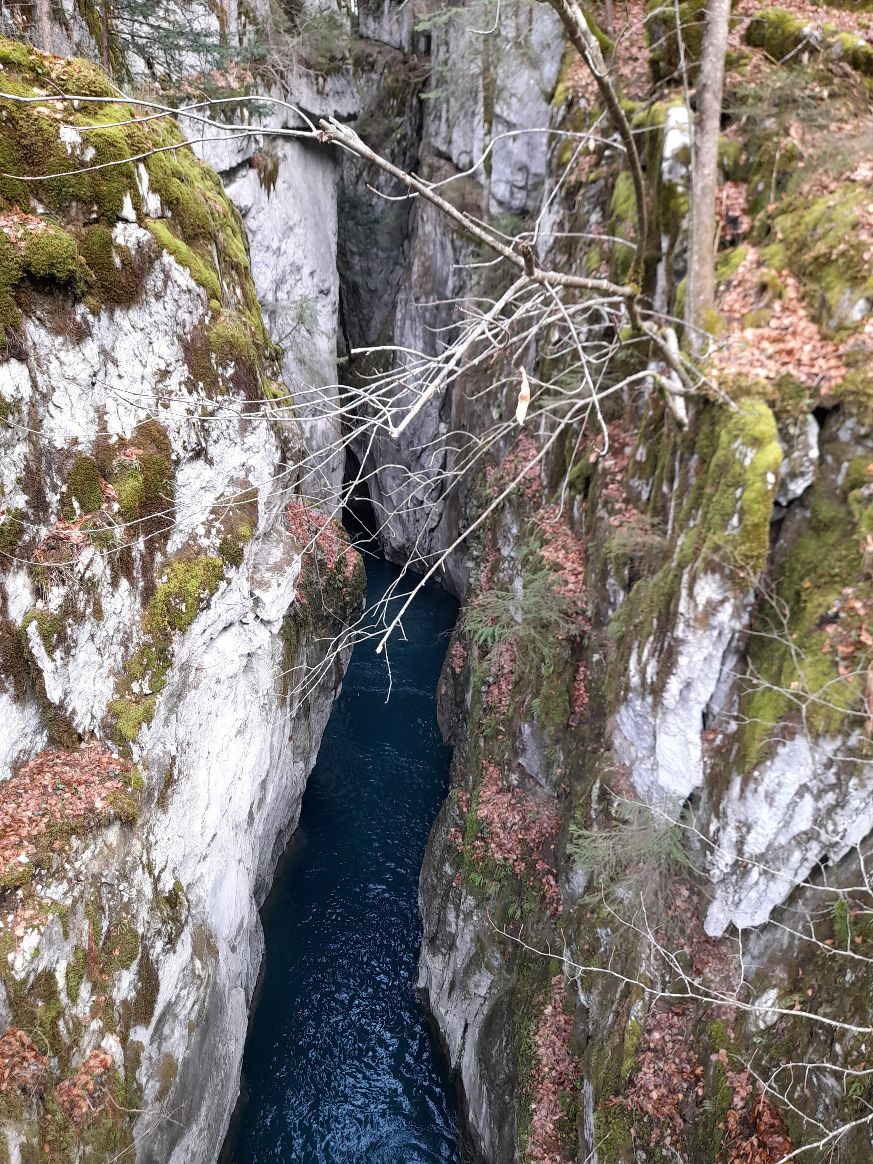 Photo n° 2 de l'avis de Roselyne.o fait le 13/03/2021 à 10:22