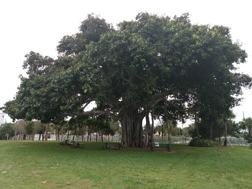 Nature Preserve «Grassy Waters Preserve», reviews and photos, 8264 Northlake Blvd, West Palm Beach, FL 33412, USA