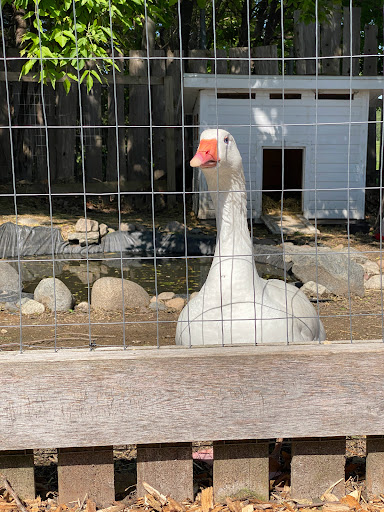 Museum «Gibbs Farm», reviews and photos, 2097 Larpenteur Ave W, St Paul, MN 55113, USA