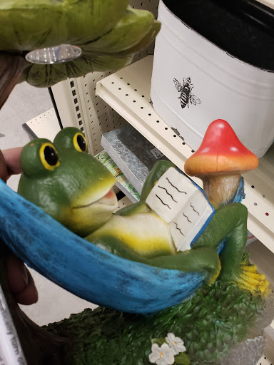 Discount Store «Big Lots», reviews and photos, 290 Susquehanna Blvd, West Hazleton, PA 18202, USA