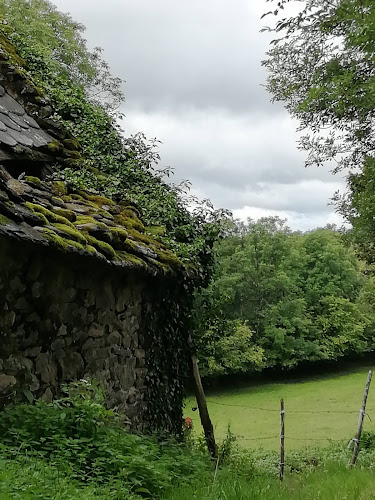 hôtels Gite Cantal La Chapelle-d'Alagnon