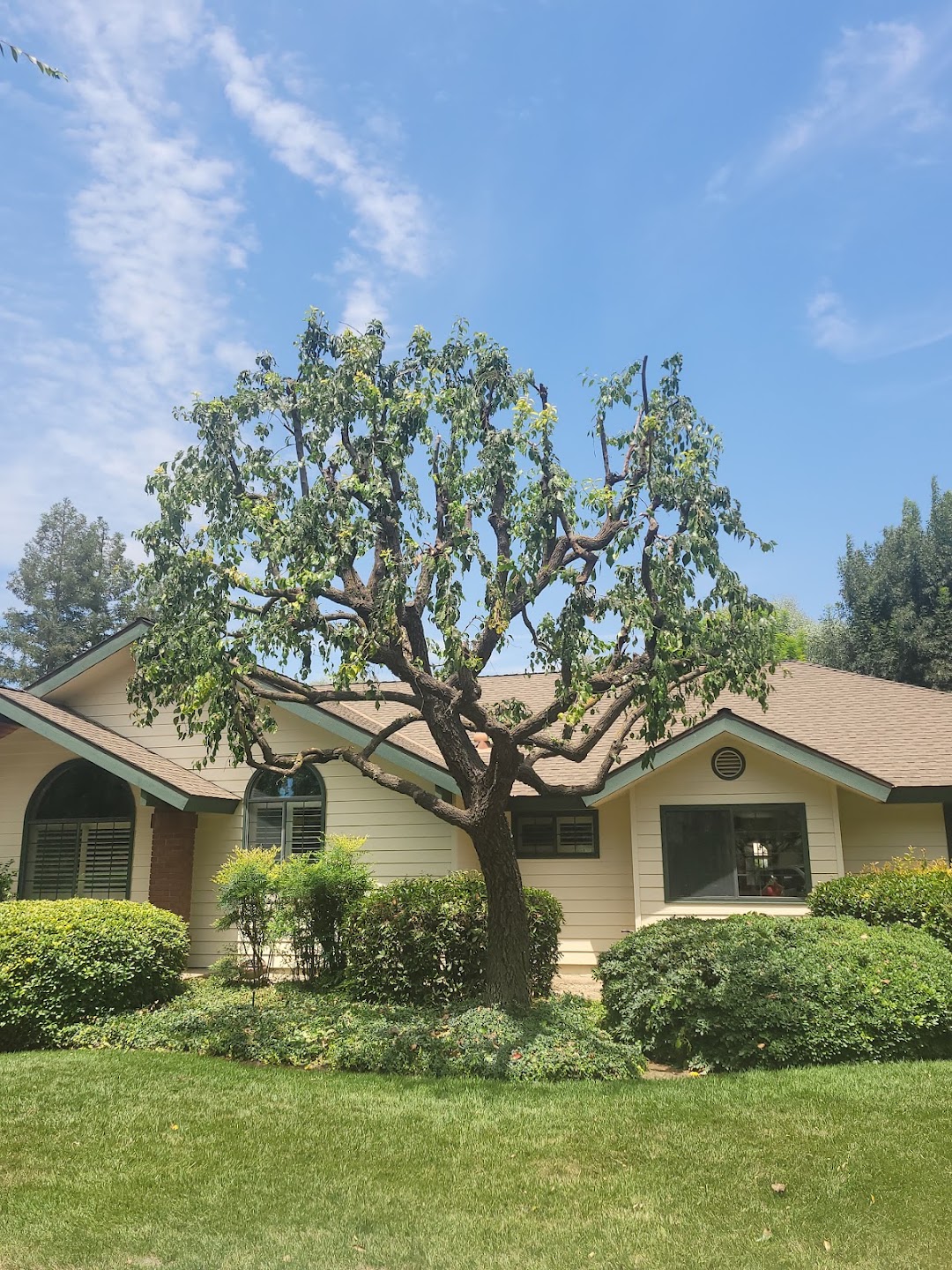 J&A Tree Service