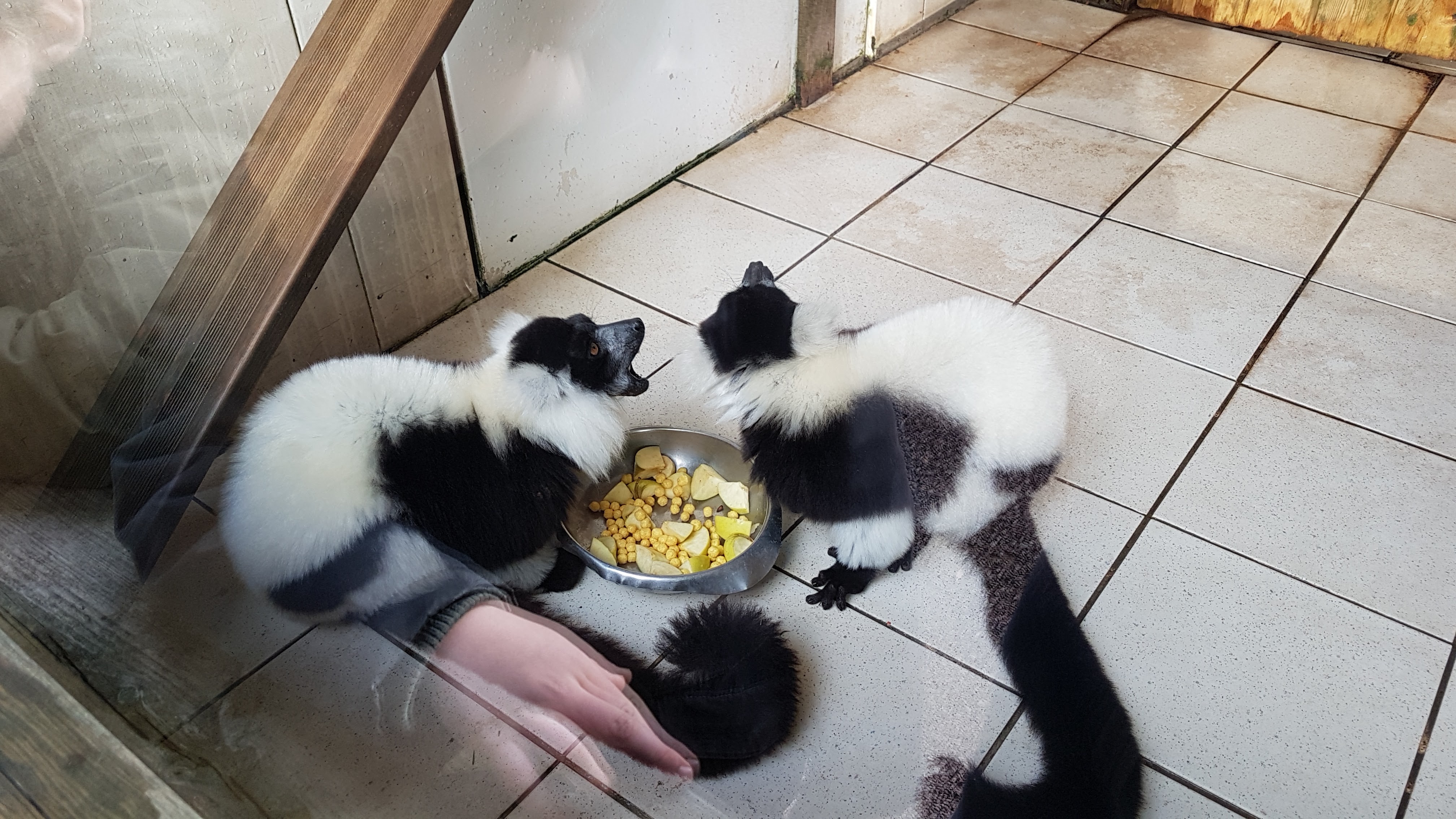Photo n° 14 de l'avis de PA.A fait le 09/03/2019 à 12:19