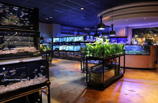 Tropical Fish Store «Fish Gallery», reviews and photos, 2909 Fountain View Dr, Houston, TX 77057, USA