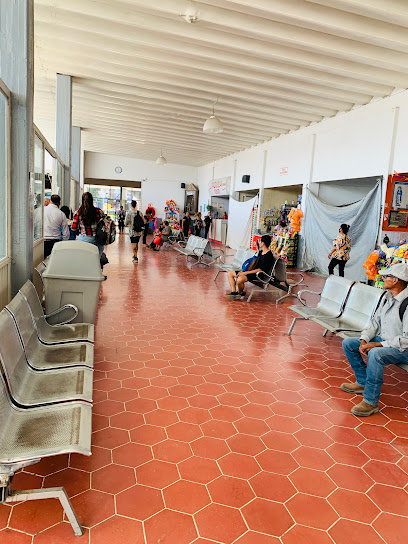 Terminal de Autobuses de Chapala