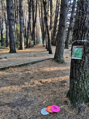 Reviews of Rotorua Disc Golf Course in Rotorua - Other
