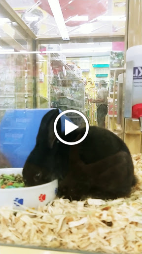Pet Supply Store «Pet Supermarket», reviews and photos, 3806 S Dale Mabry Hwy, Tampa, FL 33629, USA