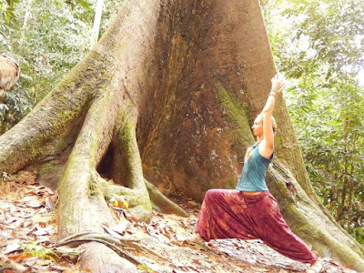 Virginie Dubois -Prana Yoga/ Naturopathe - Réflexologue à domicile ou au cabinet à Saint Maurice en Gourgois à Monistrol-sur-Loire