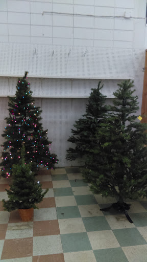 Thrift Store «Bargain World», reviews and photos, 4502 N Pearl St, Tacoma, WA 98407, USA