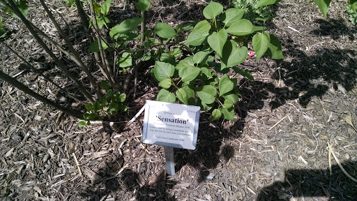 Park «Lilacia Park», reviews and photos, 150 S Park Ave, Lombard, IL 60148, USA