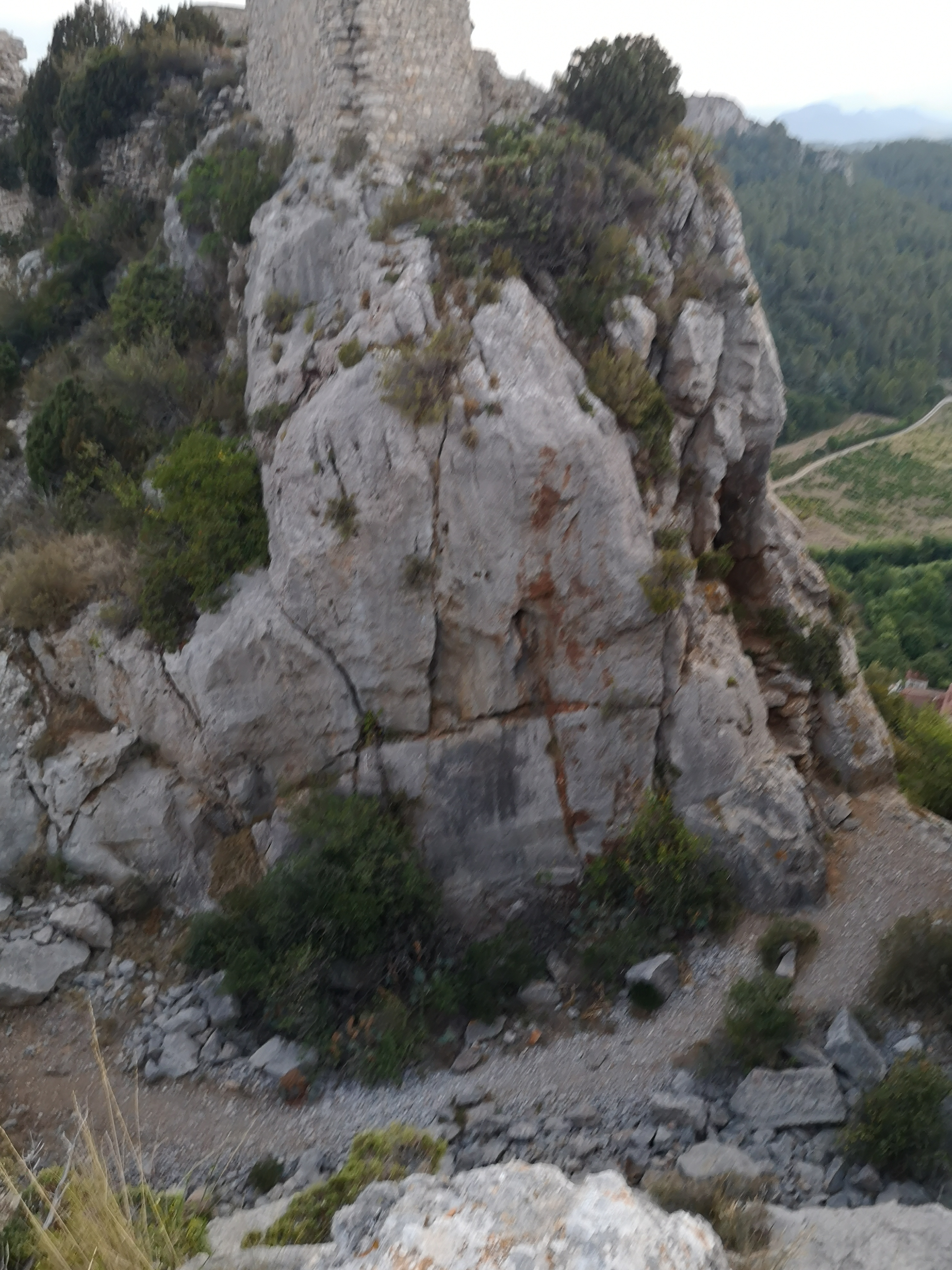 Photo n° 2 de l'avis de Sergkei.a fait le 12/11/2021 à 17:48