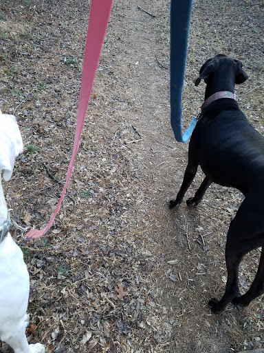 Nature Preserve «Liberty Reservoir», reviews and photos, 5685 Oakland Rd, Eldersburg, MD 21784, USA