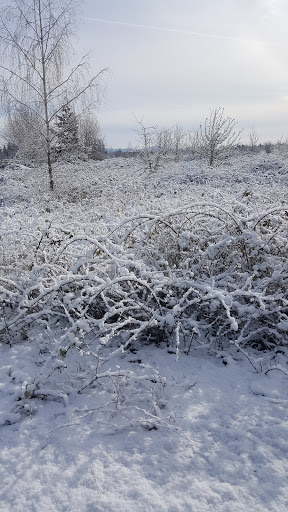 Park «Hillsboro parks and Recreation», reviews and photos, 300 NE 53rd Ave, Hillsboro, OR 97124, USA