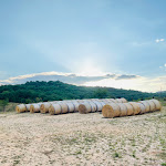 Photo n°7 de l'avis de Daniela.' fait le 21/08/2021 à 07:36 sur le  Il Forno Del Velino S.A.S. Di Sabatini Diego à Massa d'Albe