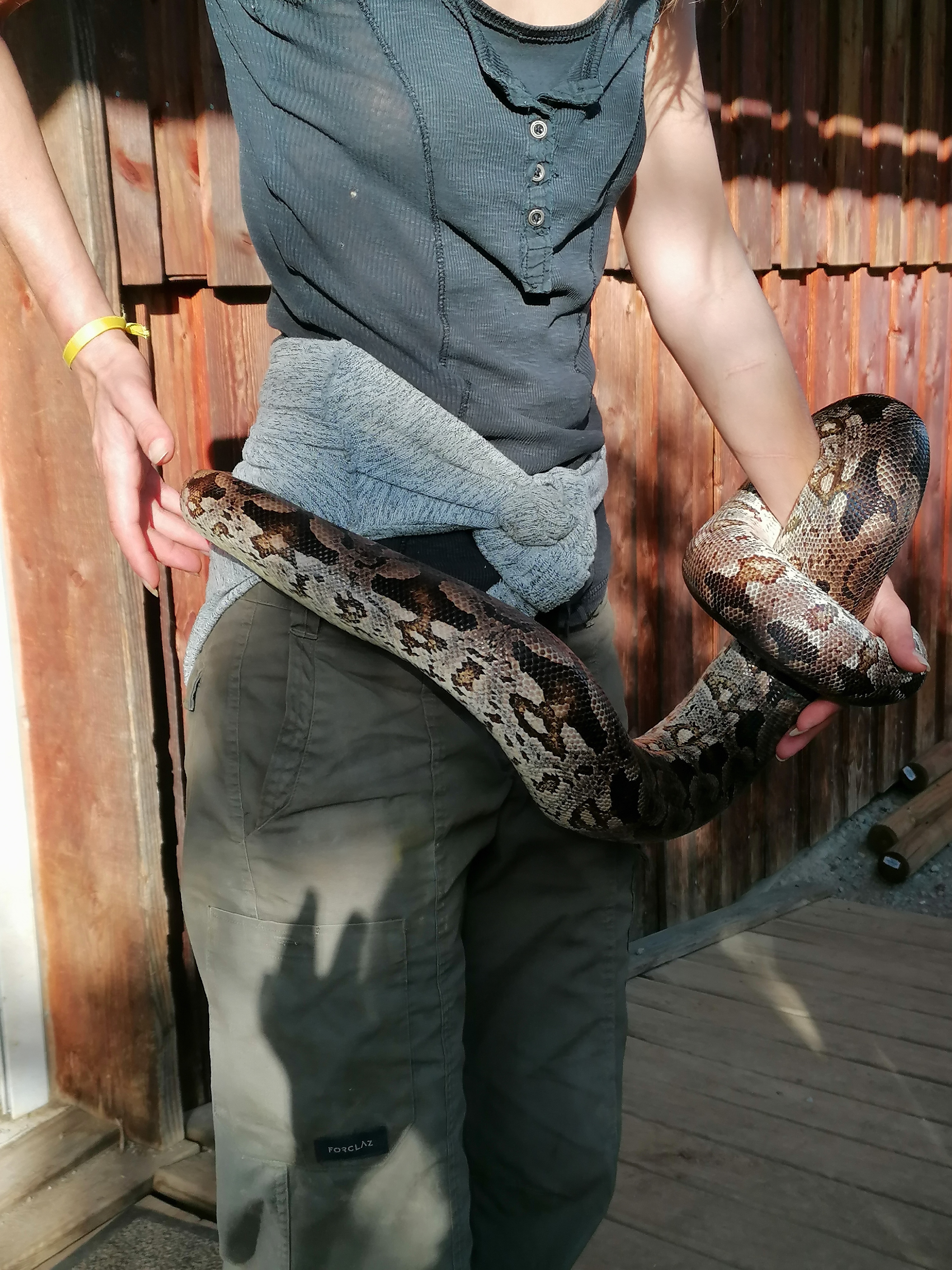 Photo n° 2 de l'avis de guerin.a fait le 06/11/2022 à 06:54