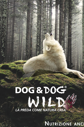 Pensioni per cani e dog hotel a Beauty Dog