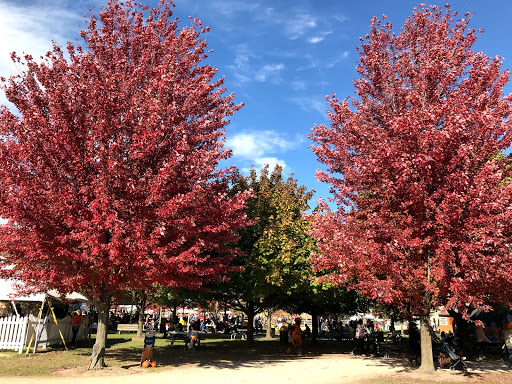 Produce Market «Didier Farms», reviews and photos, 16678 Aptakisic Rd, Lincolnshire, IL 60069, USA