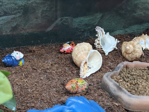 Pet Supply Store «Petco Animal Supplies», reviews and photos, 177 W Ventura Blvd, Camarillo, CA 93010, USA