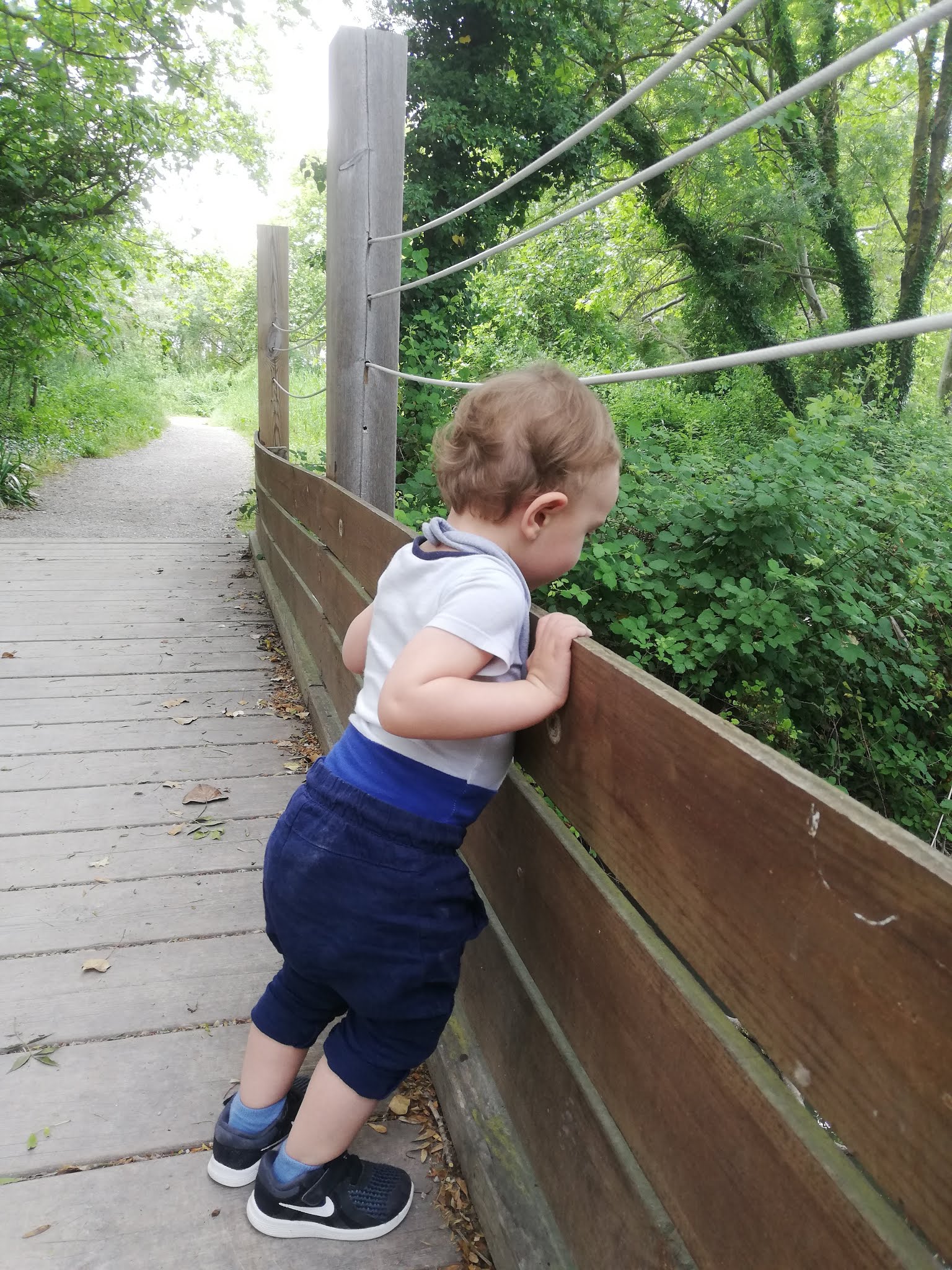 Photo n° 1 de l'avis de Fischer.a fait le 29/05/2019 à 10:53