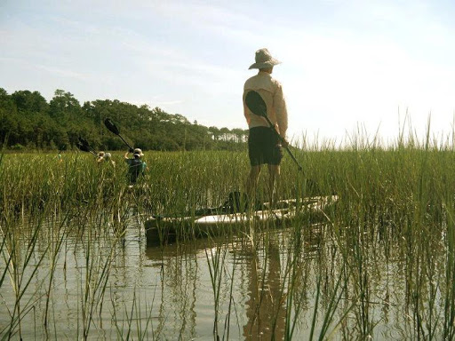 Surf Shop «Surf The Earth», reviews and photos, 47 Da Gullah Way, Pawleys Island, SC 29585, USA