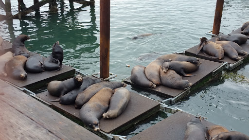 Coffee Shop «Bayscapes Gallery & Coffee house», reviews and photos, 333 SW Bay Blvd, Newport, OR 97365, USA