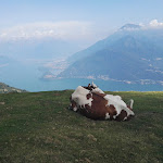 Photo n°3 de l'avis de Thomas. fait le 05/04/2020 à 17:03 sur le  Rifugio La Canua à Santa Maria Rezzonico