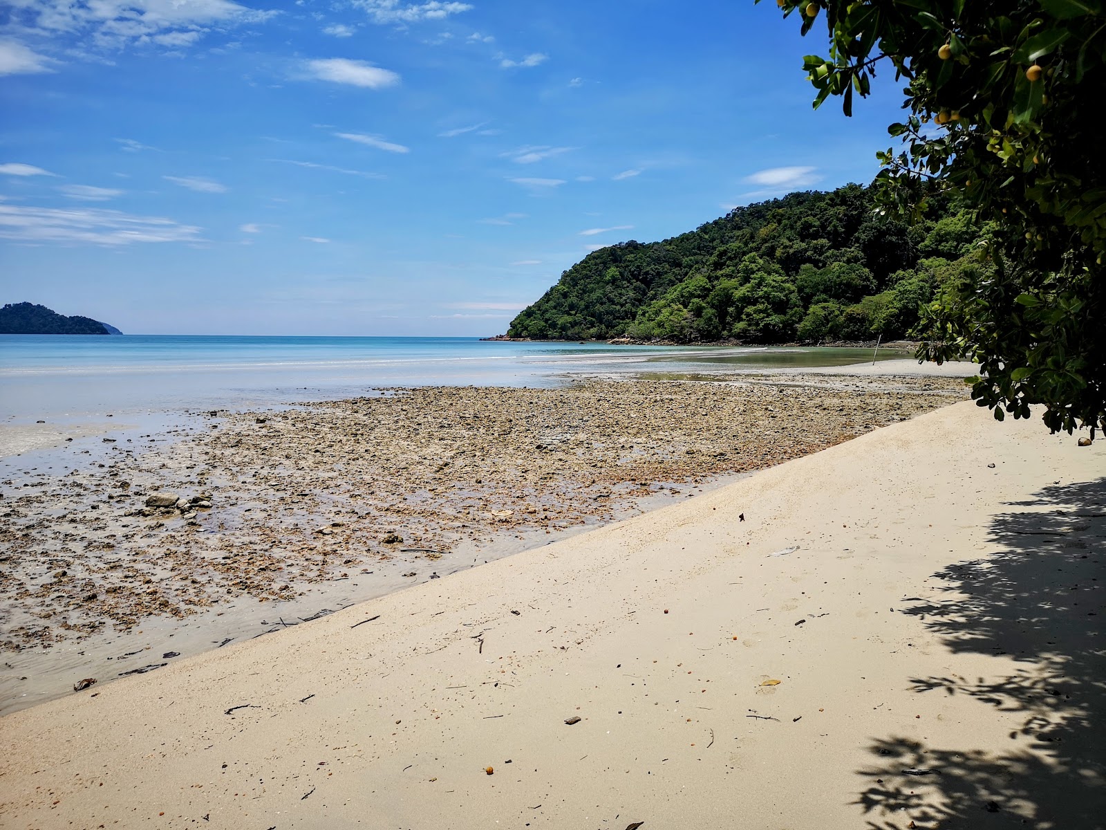 Long Beach的照片 具有部分干净级别的清洁度