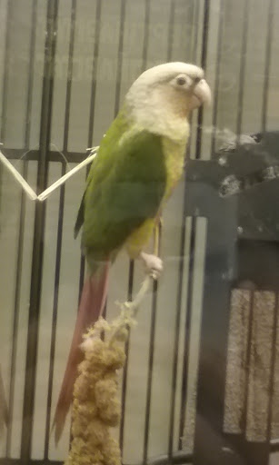 Pet Supply Store «PetSmart», reviews and photos, 5154 Nicholson Ln, Kensington, MD 20895, USA