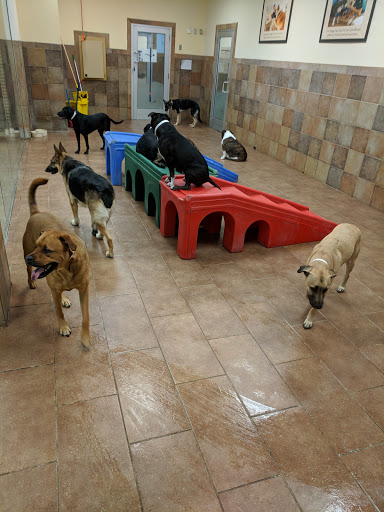 Pet Supply Store «PetSmart», reviews and photos, 5435 W TX-1604 Loop N, San Antonio, TX 78253, USA