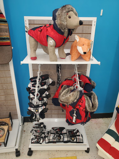 Pet Supply Store «Pet Supplies Plus», reviews and photos, 9630 Transit Rd Suite 400, East Amherst, NY 14051, USA