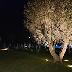 Photo n°5 de l'avis de Alessandra.h fait le 06/07/2022 à 22:54 sur le  Canneto Beach à Leporano