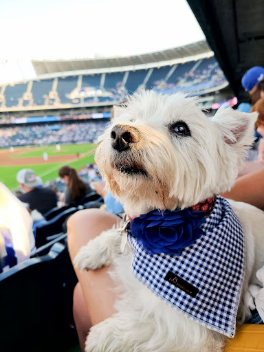 Stadium «Kauffman Stadium», reviews and photos, 1 Royal Way, Kansas City, MO 64129, USA