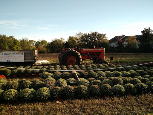 Cheyenne's Road Market - AZexplained