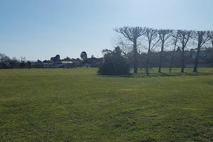 Leckie St Reserve
