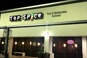 Top Spice Thai & Malaysian Cuisine image