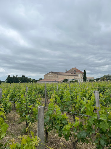 Château Ambe Tour Pourret à Saint-Émilion