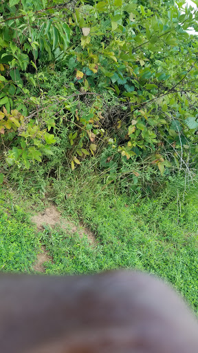 Golf Club «Virginia Oaks Golf Course», reviews and photos, 7950 Virginia Oaks Dr, Gainesville, VA 20155, USA