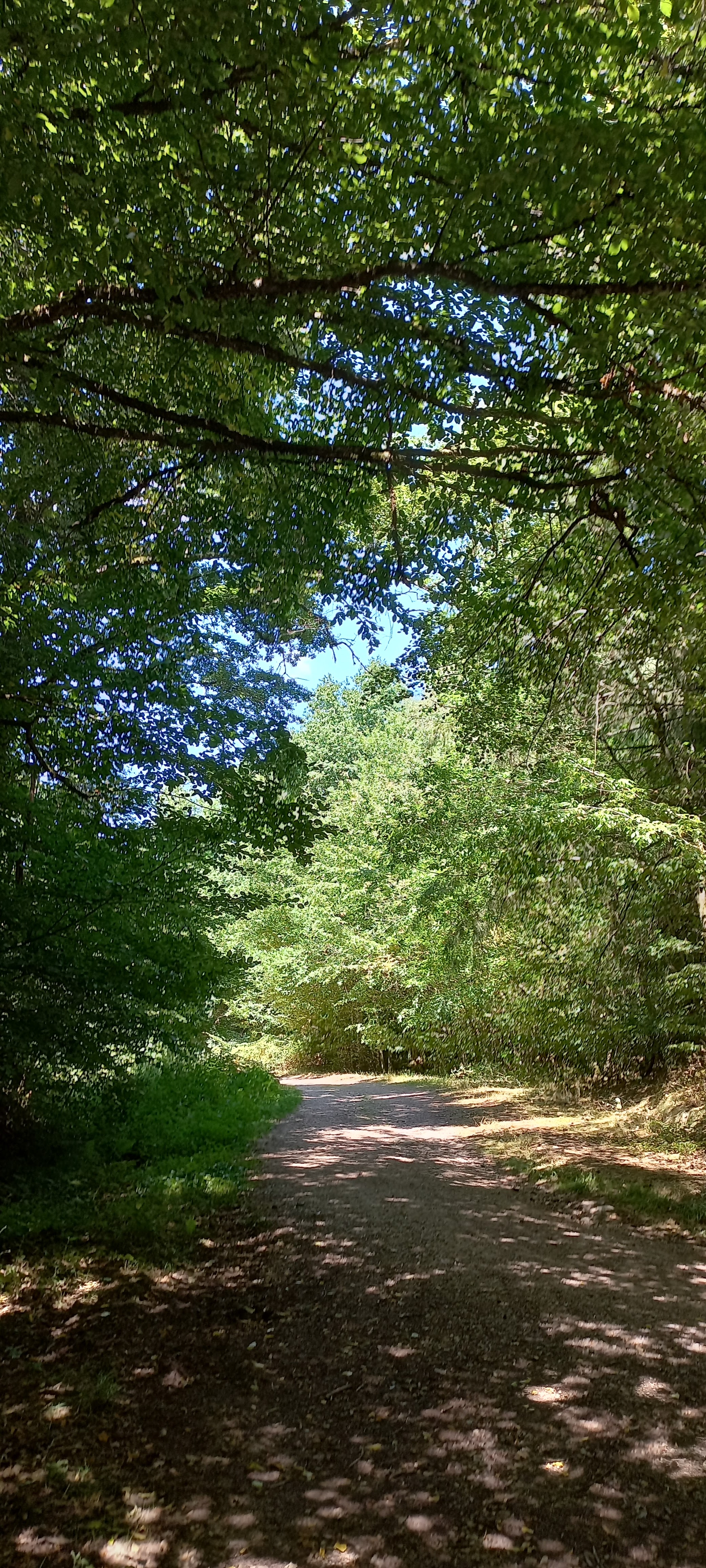 Photo n° 35 de l'avis de Françoise.o fait le 06/08/2022 à 20:53