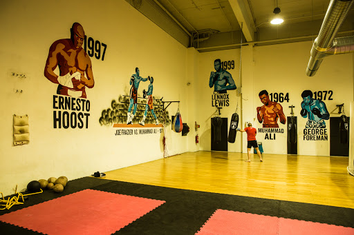 Martial arts gyms in Vienna