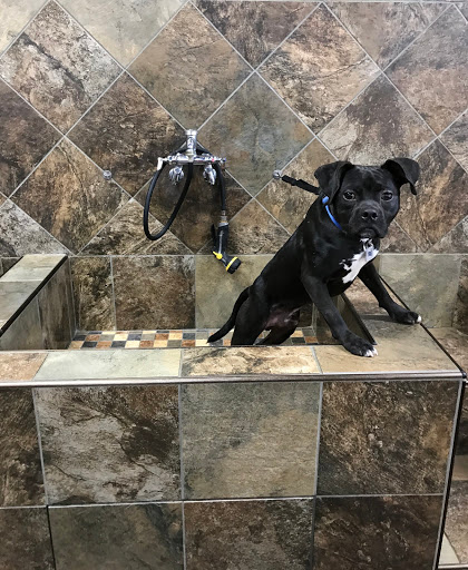 Pet Store «Pet Valu», reviews and photos, 2231 Old Bridge Rd, Lake Ridge, VA 22192, USA