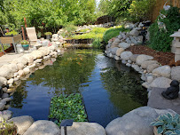 Morito Koi Company - Photo 5 - Car repair in Reno, NV, Reno