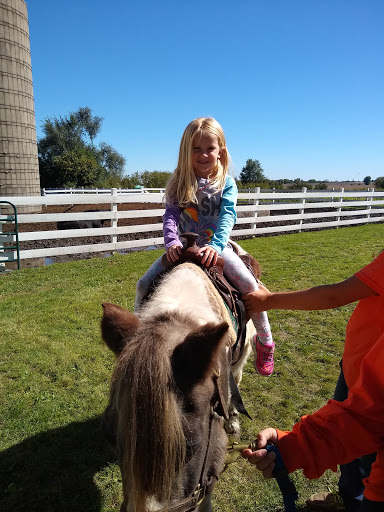 Pumpkin Patch «Barts Farm and Pumpkin Patch», reviews and photos, 7307 Alburnett Rd, Marion, IA 52302, USA